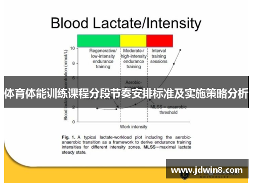 体育体能训练课程分段节奏安排标准及实施策略分析